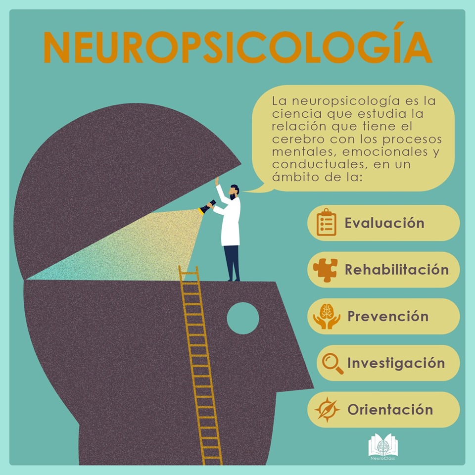 O Que é A Neuropsicologia - BRAINCP