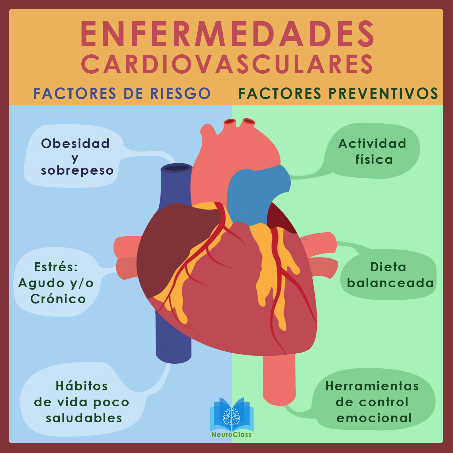 Ictus Daños En El Sistema Circulatorio Cerebral Neuroclass