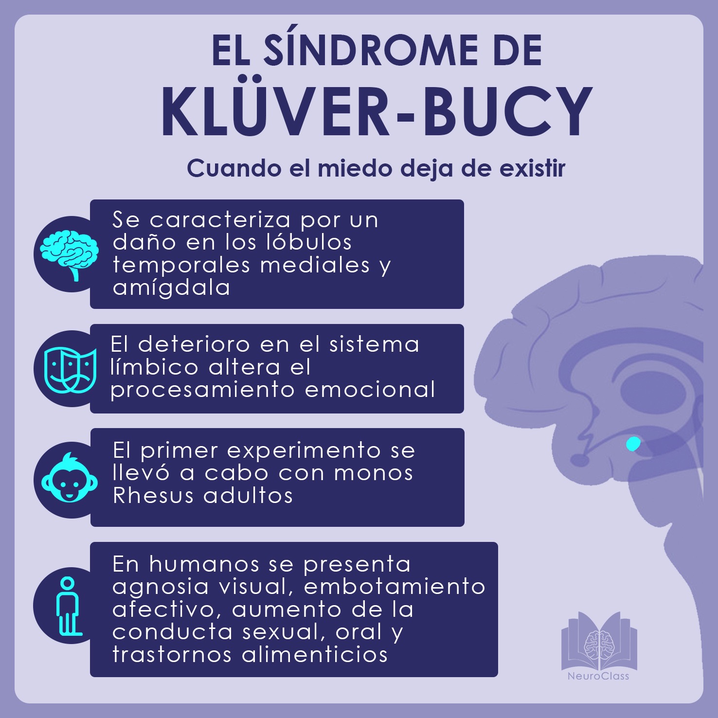 El síndrome de Klüver-Bucy, cuando el miedo no existe - NeuroClass