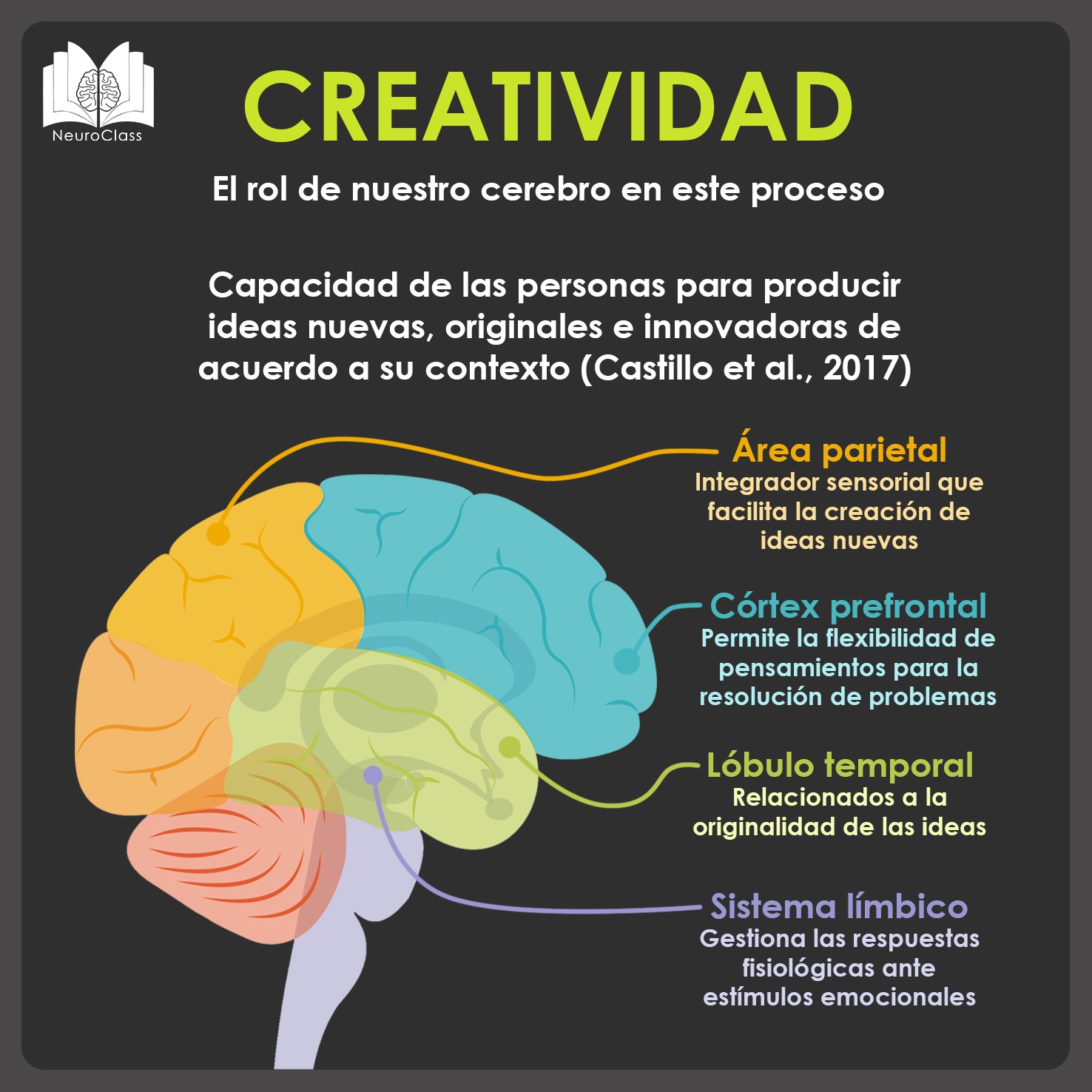 Creatividad El Rol De Nuestro Cerebro En Este Proceso Neuroclass 3721