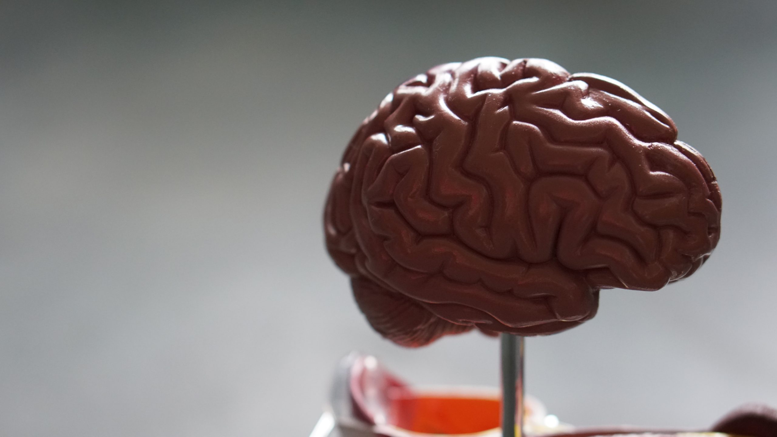 plasticidad-neuronal-modificación-en-el-cerebro-neuroclass