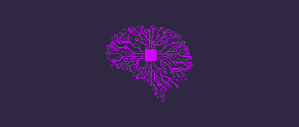 Neurociencia Computacional