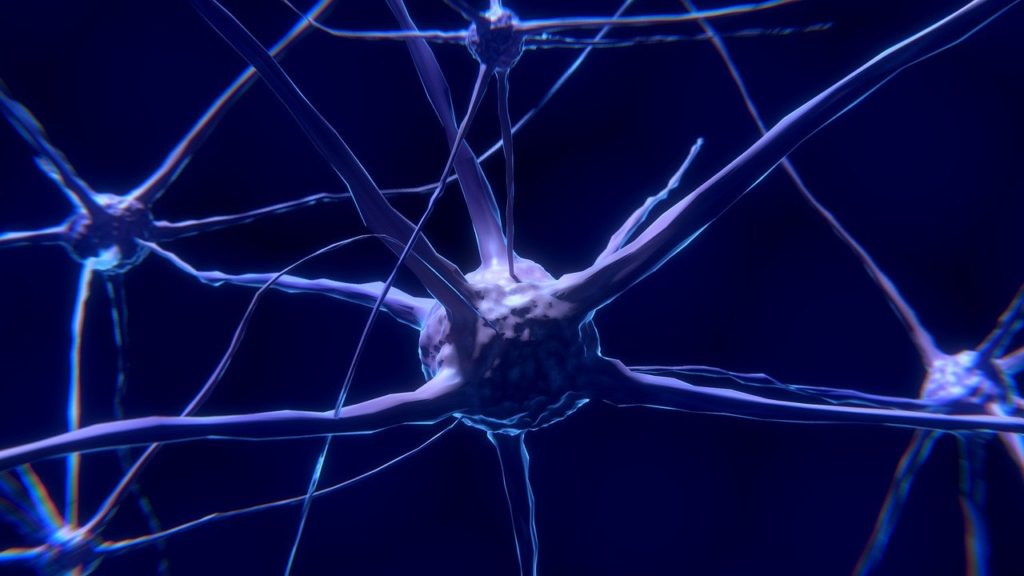 sinaptogénesis-o-creación-de-sinapsis-arquitectura-cerebral-neuroclass