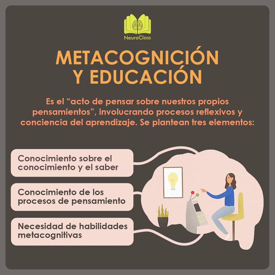 Importancia De La Metacognición En Nuestras Vidas - NeuroClass