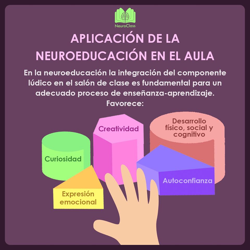 Aplicación De La Neuroeducación En El Aula - NeuroClass