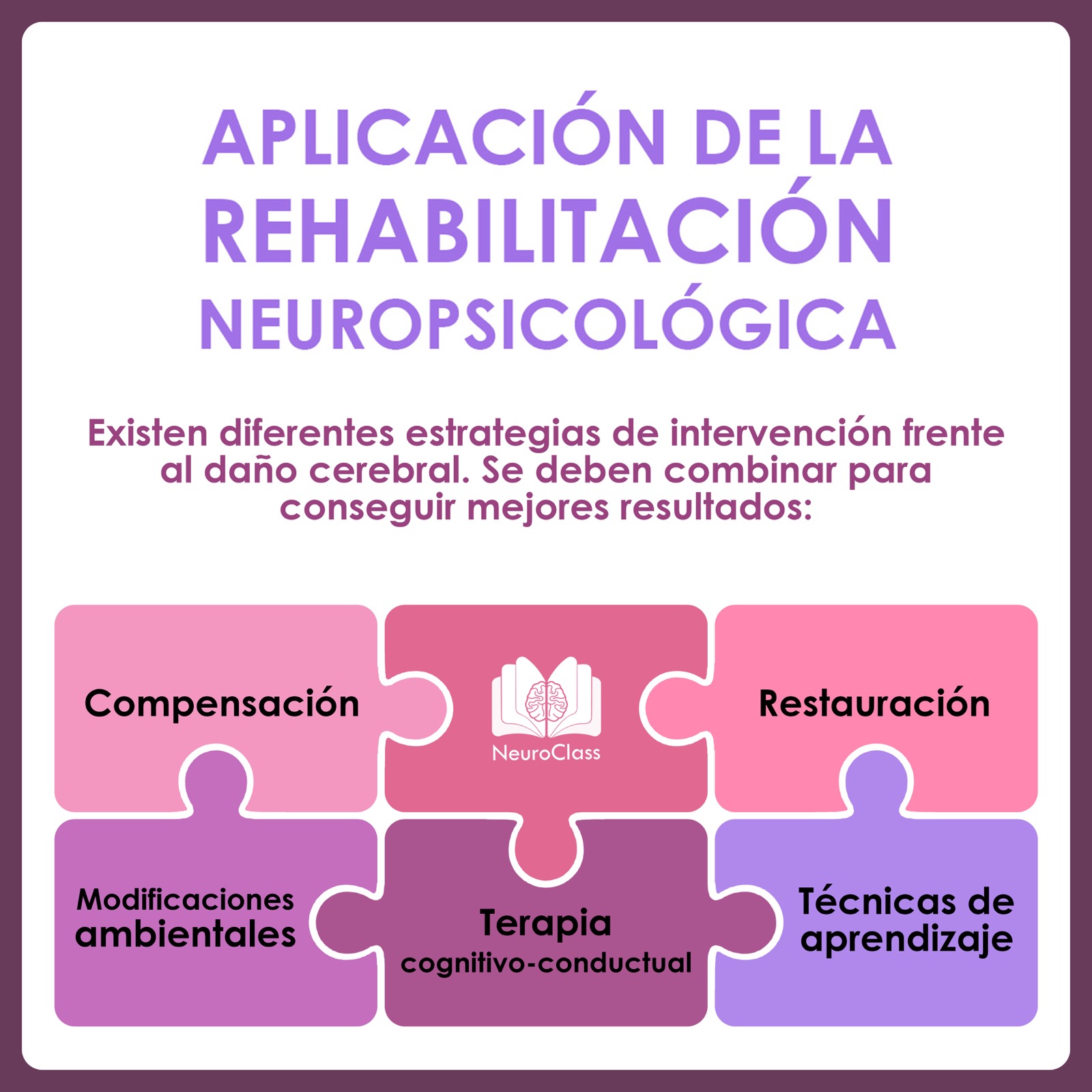 Aplicación De La Rehabilitación Neuropsicológica Neuroclass 8345