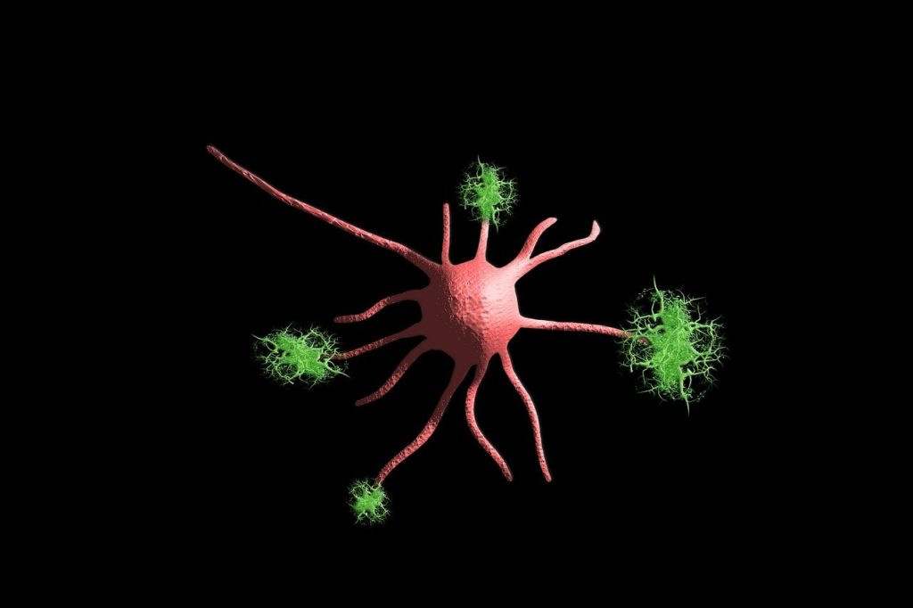 sinaptogénesis-o-creación-de-sinapsis-neuroclass

