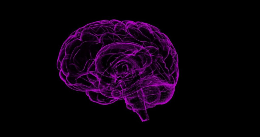 trastorno-obsesivo-compulsivo-implocaciones-neuroanatómicas-y-neuropsicológicas-para-su-manejo-Neuroclass