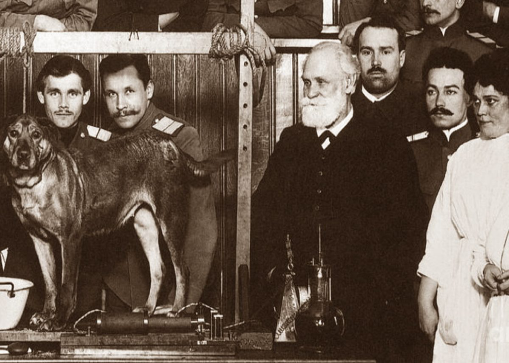 experimento de ivan pavlov