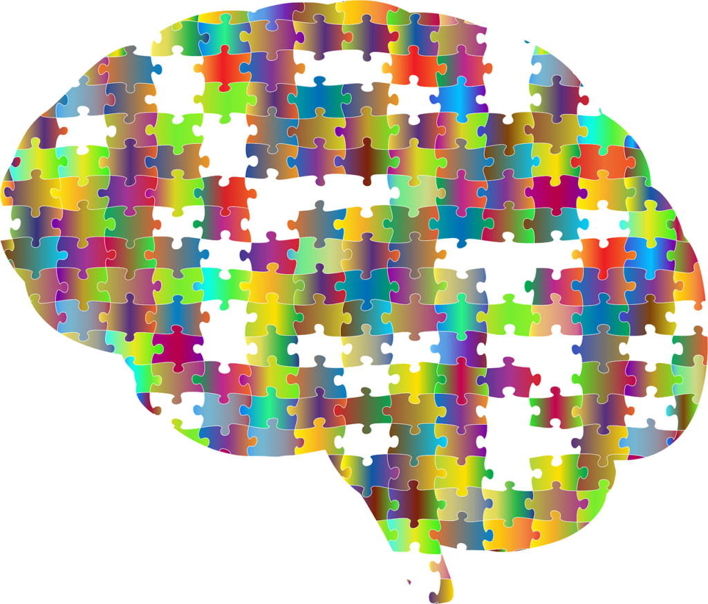lóbulo frontal, lóbulo frontal y funciones ejecutivas
