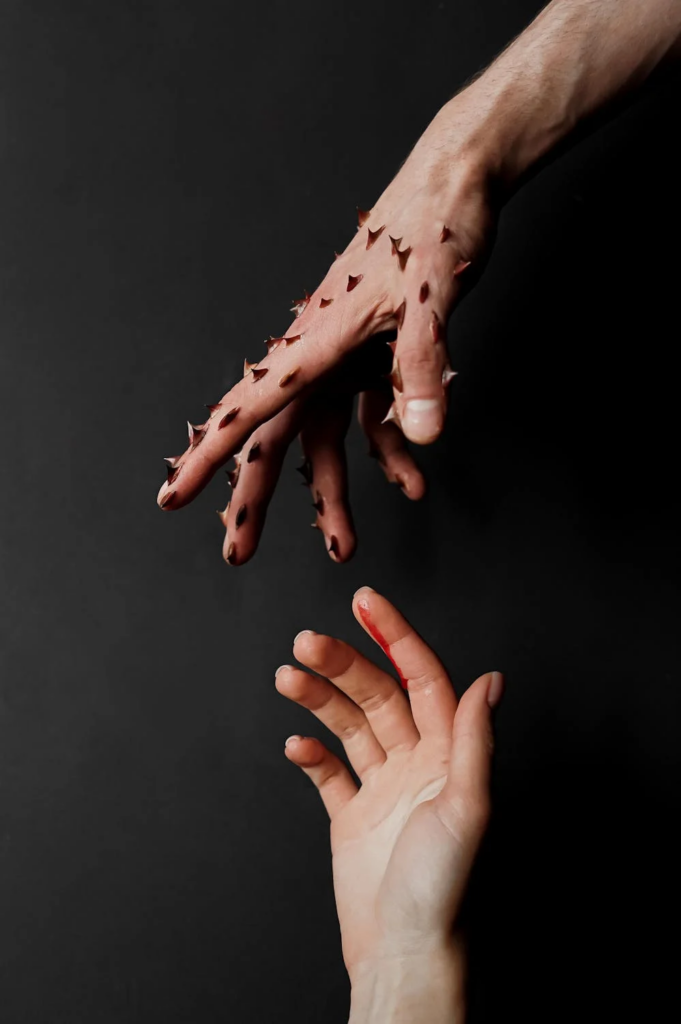 ciclo de la violencia