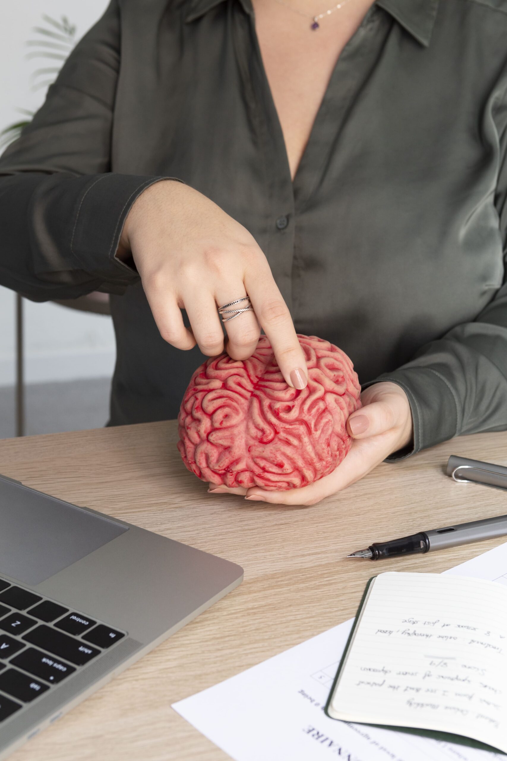Cerebro y cambio, modelo de doble vía