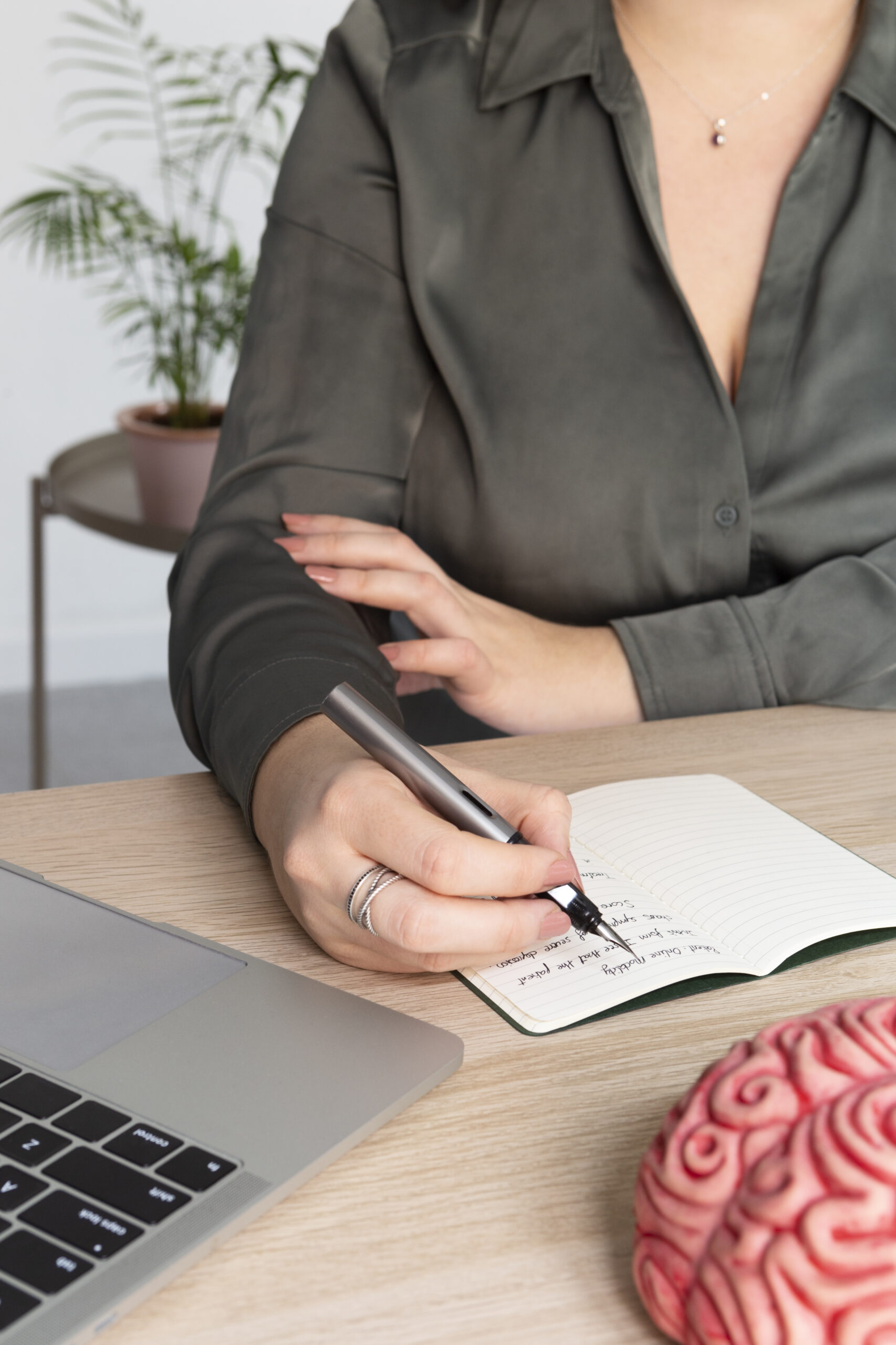 Trastorno del lenguaje, desarrollo del lenguaje